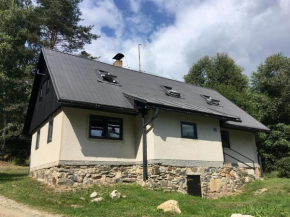 Chalupa pod sjezdovkou Vysoke Nad Jizerou